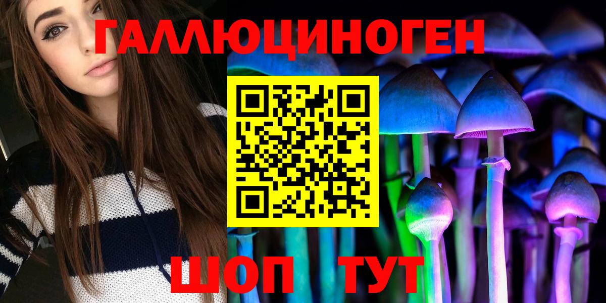 Ефремов  Псилоцибиновые грибы Magic Shrooms  Вход с VPN 